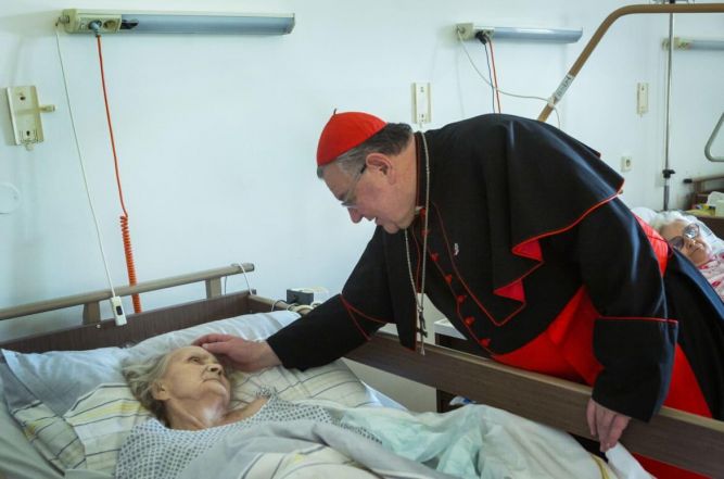 image:Image 9/source/orig/8013_4383_0_nemoc.jpg