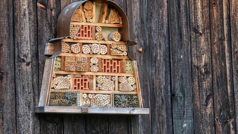 image:Image 9/source/orig/8326_hmyzi-a-jine-domecky.jpg