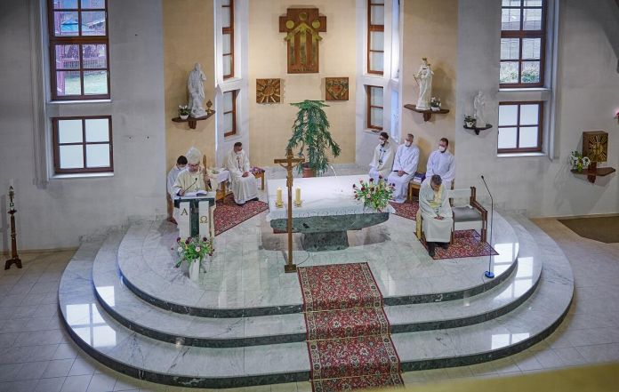 image:Image 9/source/orig/8435_4905_0_bosko_havov205.jpg