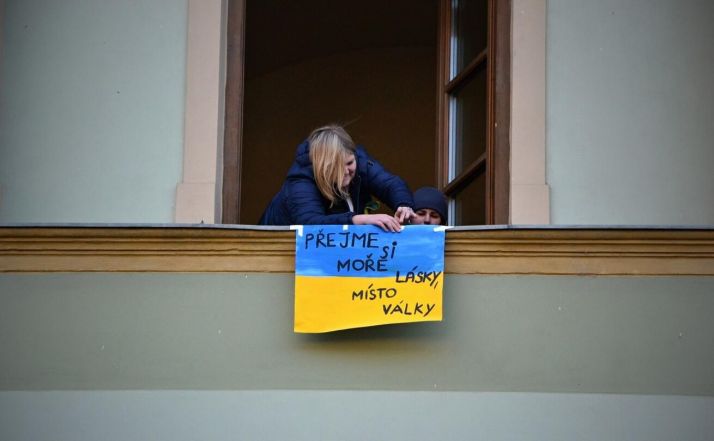 image:Image 9/source/orig/8661_5048_0_pomoc-pro-ukrajinu-anna-halamova.jpeg