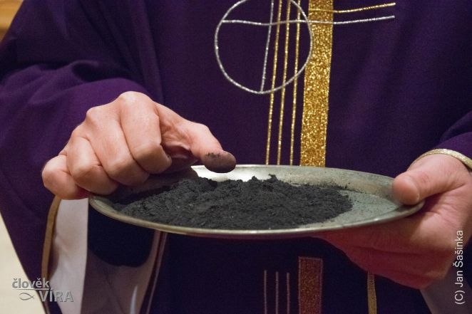 image:Image 9/source/orig/8740_5213_0_092-resized.jpeg