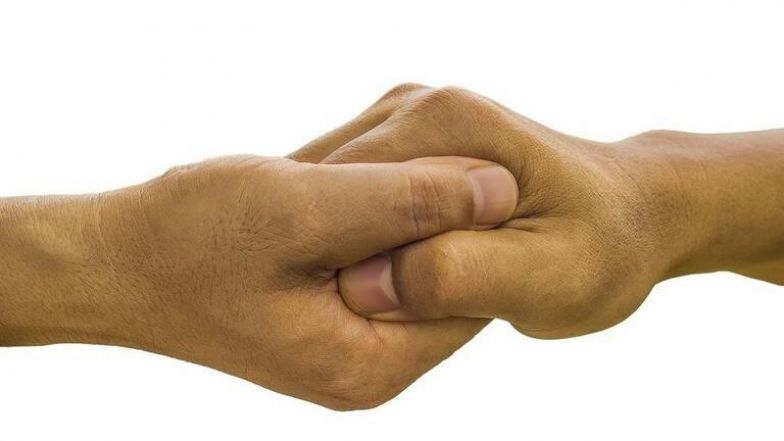 image:Image 9/source/orig/8745_5216_0_rucejpg_cropped.jpeg