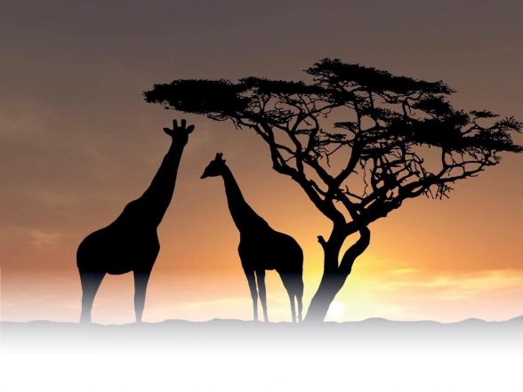 image:Image 9/source/orig/8901_5350_0_220307-cmka-afrika.jpg