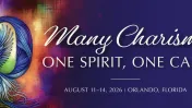 image:Image 91/source/orig/90679_many-charisms-one-spirit-one-call-lcwr-70th.webp
