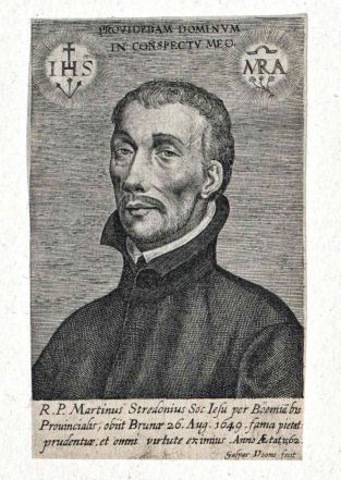 image:Image 92/source/orig/91184_martin-stredonius2.jpg